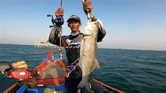 Mancing Ikan Besar Di Muara